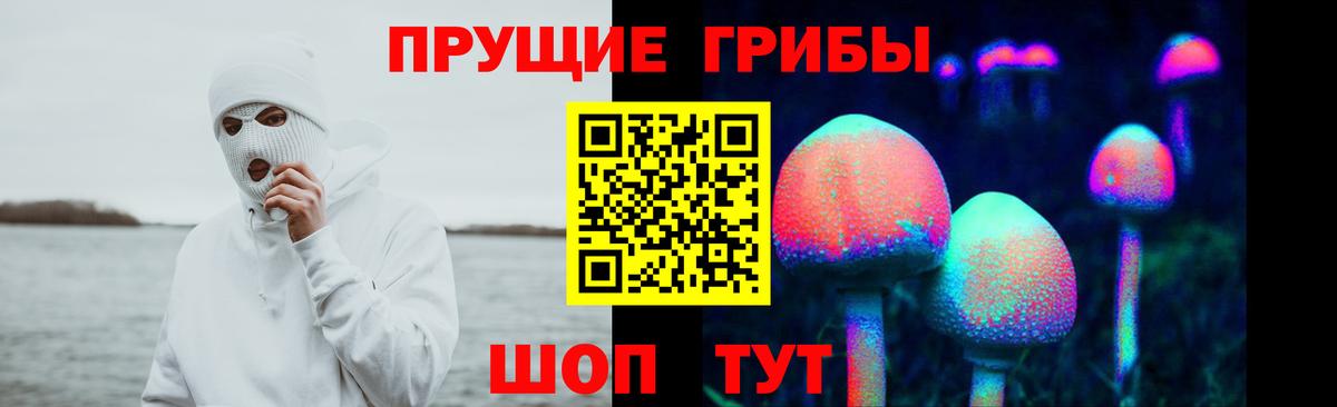 Псилоцибиновые грибы мицелий Скопин